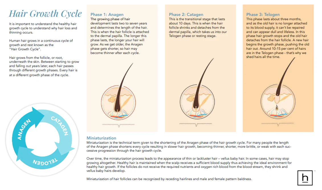 HairMax - Hair Growth & Wellness Guide (Digital Download) - Image 3